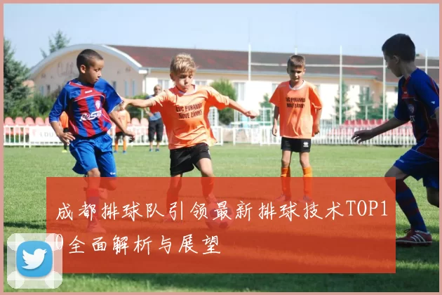 成都排球队引领最新排球技术TOP10全面解析与展望