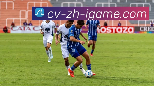 爱游戏平台生态图